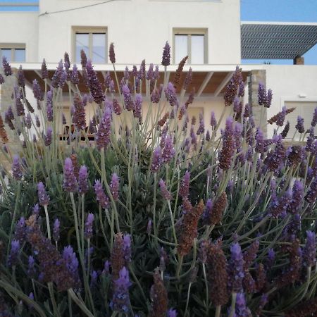 파라스포로 Nesaea Seafront House 빌라 외부 사진