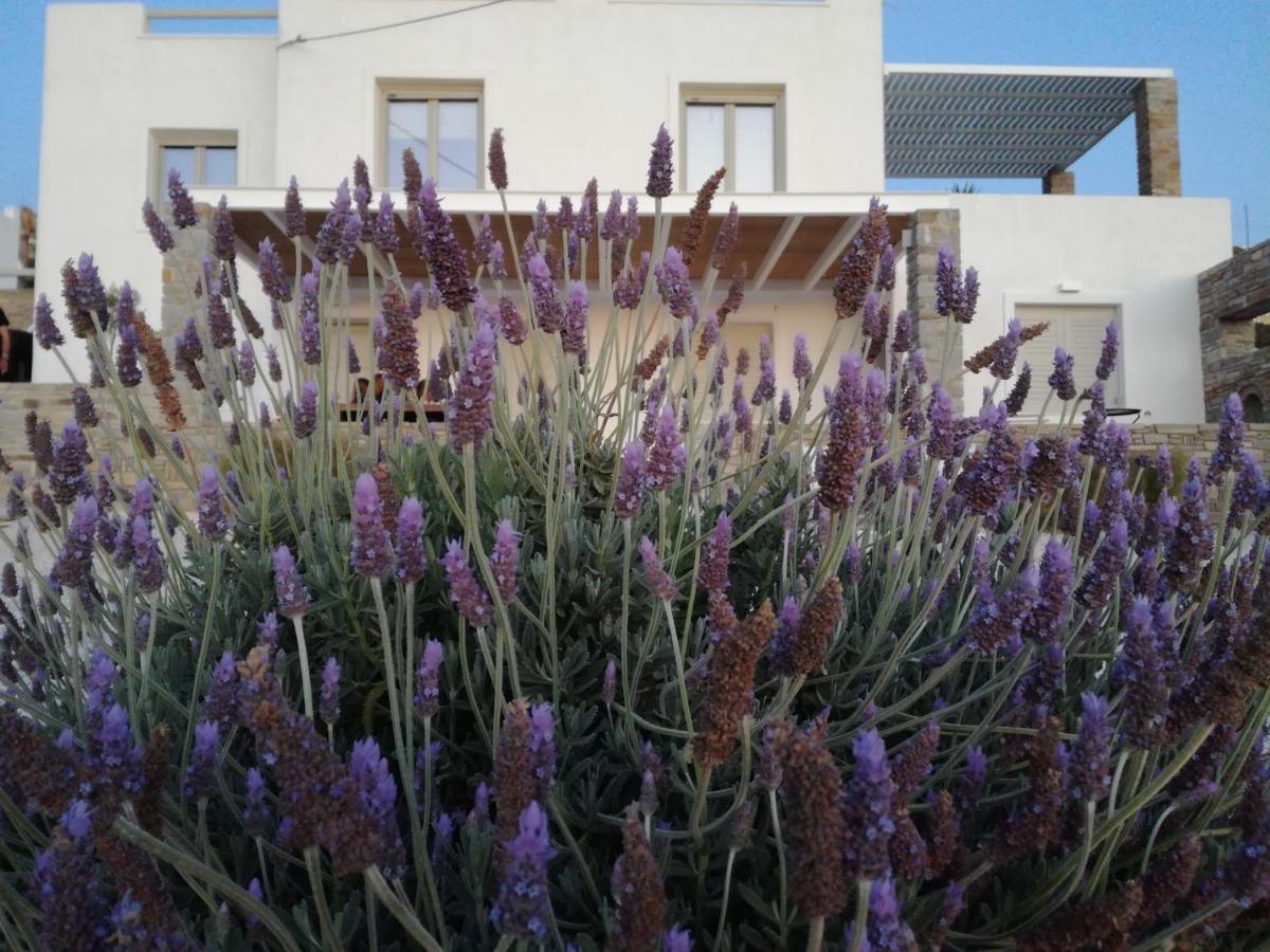파라스포로 Nesaea Seafront House 빌라 외부 사진